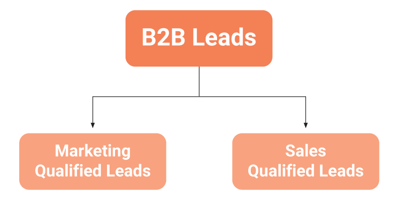 B2B leads